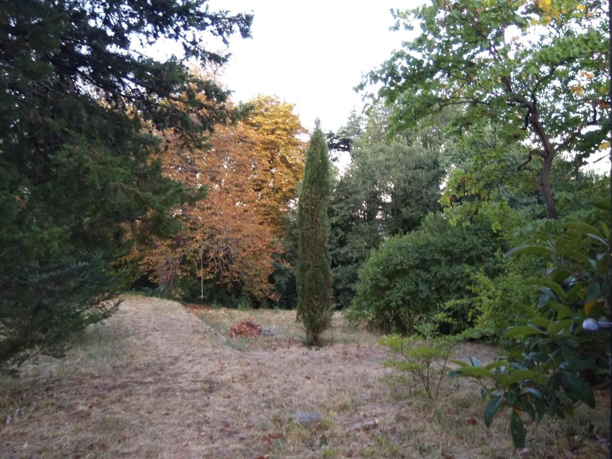 Apartament Jankovich Castle Benkovac Zewnętrze zdjęcie