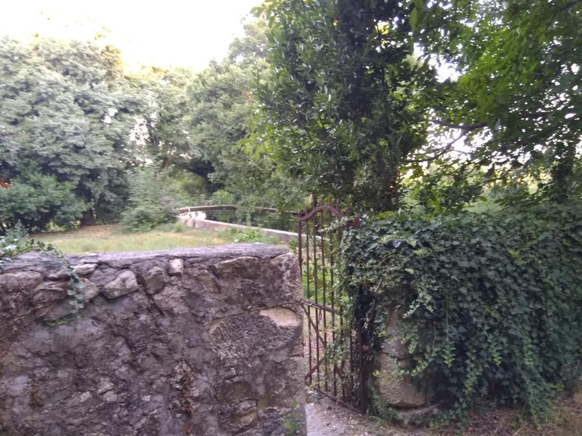 Apartament Jankovich Castle Benkovac Zewnętrze zdjęcie
